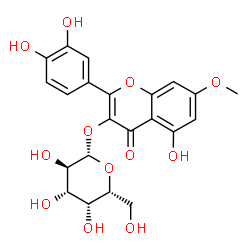 Rhamnetin 3-galactoside