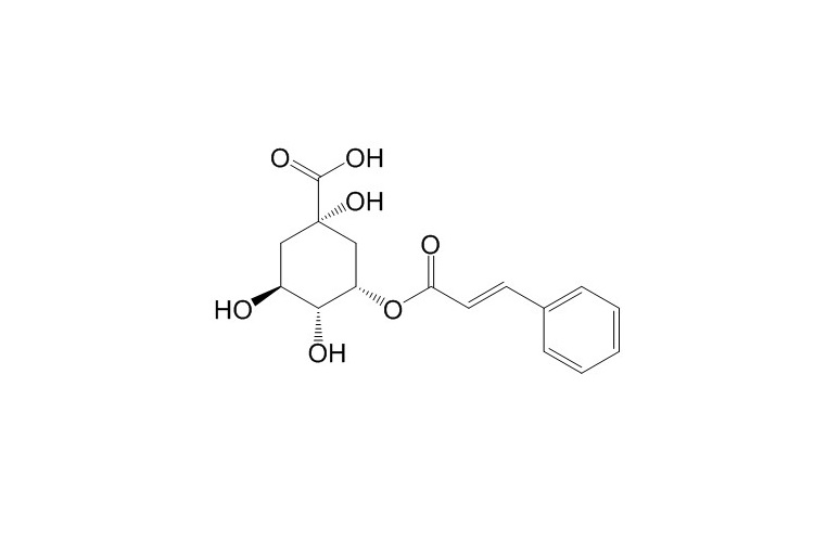 5-O-Cinnamoylquinic acid