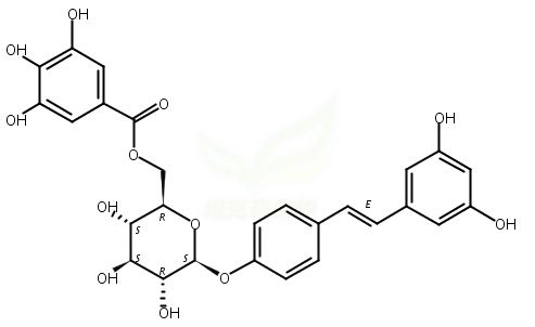 Pieceid-2''-O-gallate