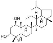 Glochidiol