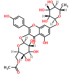 Kaempferol 3-O-(6''-O-acetyl)glucoside-7-O-rhamnoside