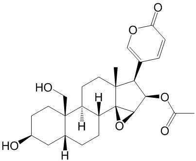 Cinobufaginol