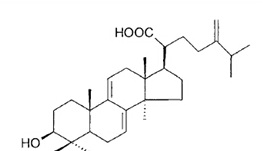 Dehydroeburicoic acid
