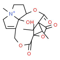 Retusamine