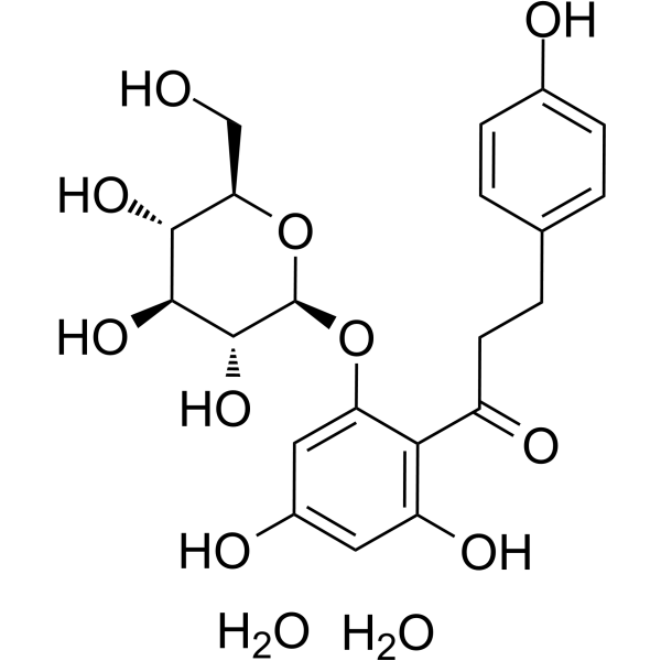 Phlorizin dihydrate