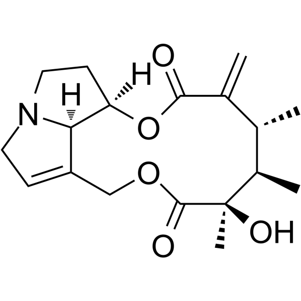 Senecivernine