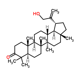 30-Hydroxylup-20(29)-en-3-one
