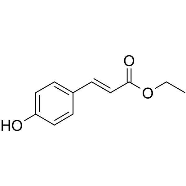 p-Coumaric acid ethyl ester
