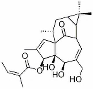 Ingenol 3-Angelate