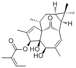 20-Deoxyingenol 3-angelate