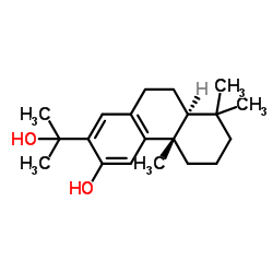 15-Hydroxyferruginol