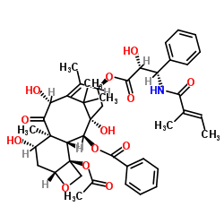 10-Deacetylcephalomannine