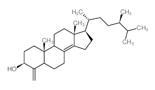 Conicasterol
