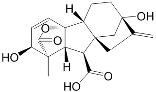 Gibberellins