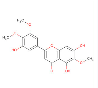5,7,3'-Trihydroxy-6,4',5'-trimethoxyflavone