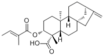 ent-3Beta-Tigloyloxykaur-16-en-19-oic acid
