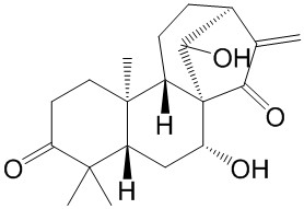 Glaucocalyxin A