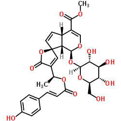13-O-p-Coumaroylplumieride