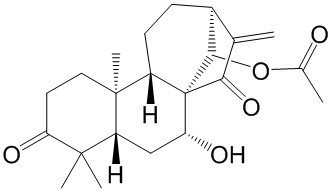 Glaucocalyxin B
