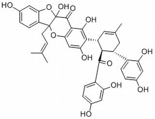 Sanggenone D