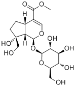 Splendoside