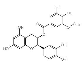 (-)-Epicatechin-3-(3''-O-methyl) gallate