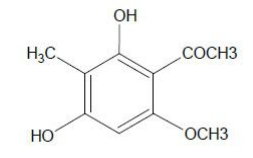 Ebracteolata cpd B