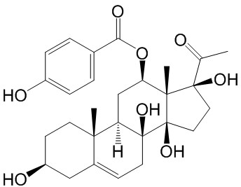 Qingyangshengenin