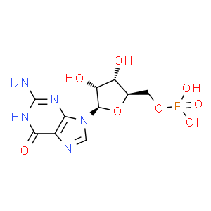 5'-Guanylic acid