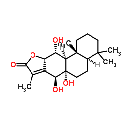 Yuexiandajisu D
