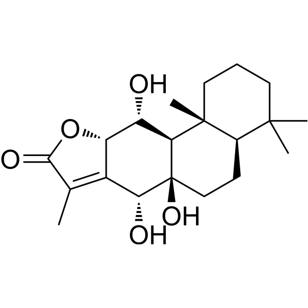 Yuexiandajisu E