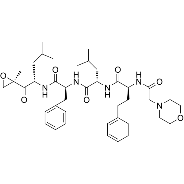 Carfilzomib (PR-171)