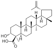 Lupeolic acid
