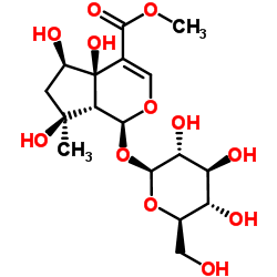 6beta-Hydroxyipolamiide