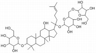 Notoginsenoside Fe