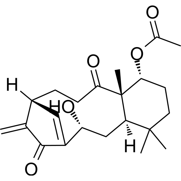 Kongensin A