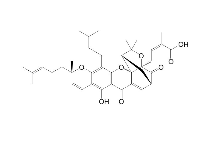Epigambogic acid