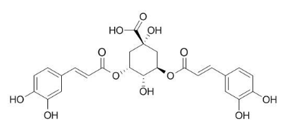 3,5-di-O-caffeoylquinic acid
