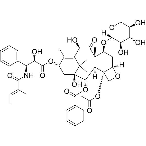 7-Xylosyl-10-deacetyltaxol B