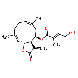 8beta-(4'-Hydroxytigloyloxy)costunolide