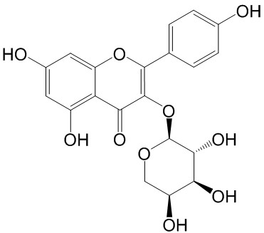 Kaempferol 3-O-arabinoside