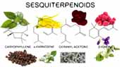 Sesquiterpenoids
